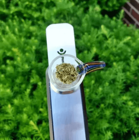 Silver Adaptabowl on Genius Pipe with packed Assorted Glass Bowl, greenery background.